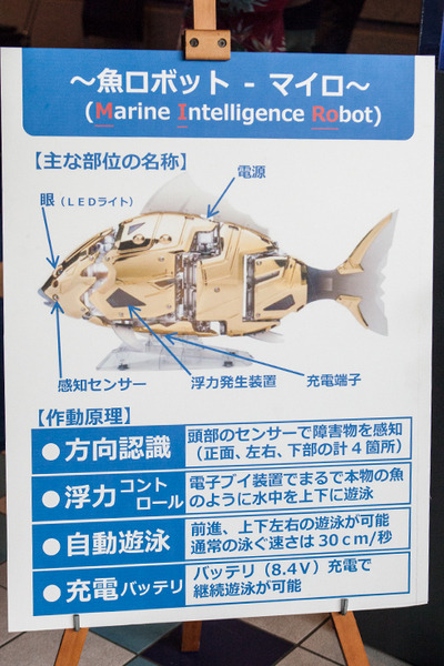 須磨水族園の体験型VR / 全天球360映像 / フィッシュロボットの事前体験会レポート！360水中体験映像は全編YouTubeで公開