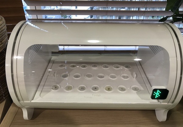 IoTでスマート菜園！ 「foop」で野菜育ててみた vol.1