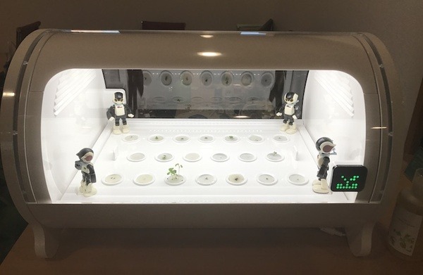 IoTでスマート菜園！ 「foop」で野菜育ててみた vol.2