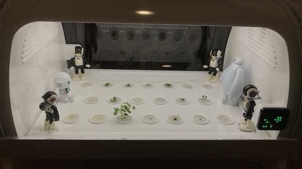 IoTでスマート菜園！ 「foop」で野菜育ててみた vol.2