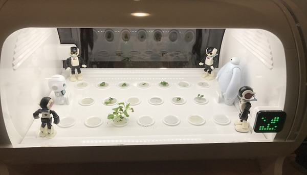 IoTでスマート菜園！ 「foop」で野菜育ててみた vol.2