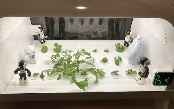 IoTでスマート菜園！ 「foop」で野菜育ててみた vol.2