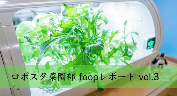 <p>シェア 0 ツイート 0 はてブ 0</p>