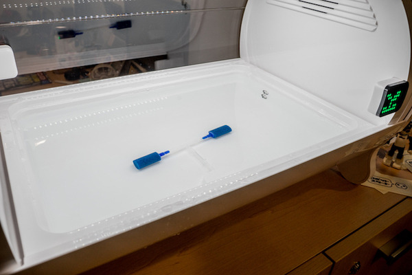 IoTでスマート菜園！ 「foop」で野菜育ててみた vol.3