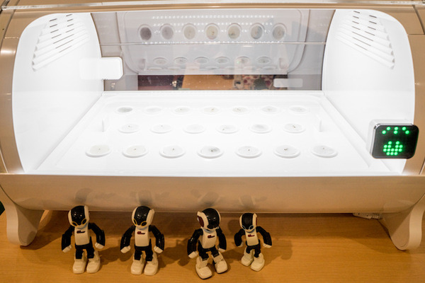 IoTでスマート菜園！ 「foop」で野菜育ててみた vol.3