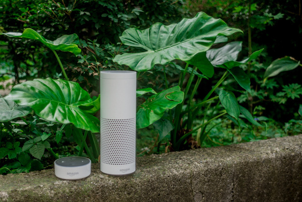 今後、検索の50%は音声にシフトする。その時に考えなければいけないこととは？