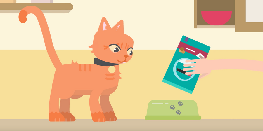 Amazonバーチャルダッシュが凄い！猫の自給自足も可能？