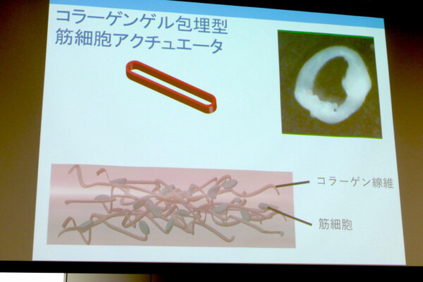 昆虫サイボーグや子供型ロボットなど、「ロボットは楽しい！」と語る研究者が集合！　「このロボットがすごい2017」