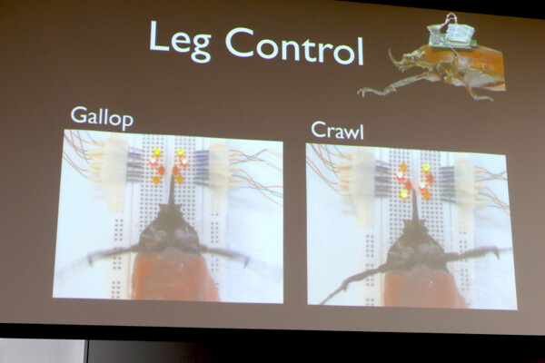 昆虫サイボーグや子供型ロボットなど、「ロボットは楽しい！」と語る研究者が集合！　「このロボットがすごい2017」