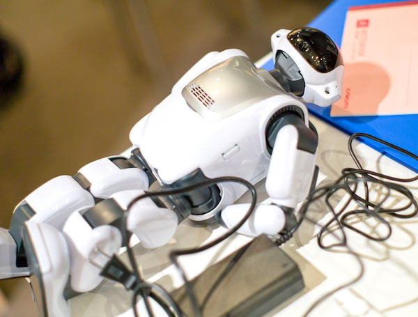 今週末の３連休、ロボットと触れ合おう「新宿高島屋ロボティクススタジオ」フォトレポート！ by ロボスタカメラ部