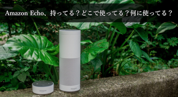 <p>シェア 0 ツイート 0 はてブ 0</p>