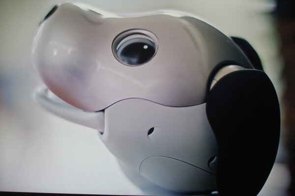 【速報】ついにソニーが犬型ロボット「AIBO（アイボ）」の最新モデルを発表！ 発売は来年1月11日、価格は19万8千円