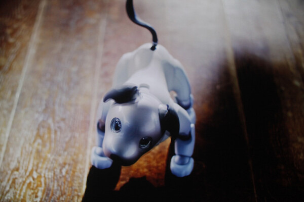 【速報】ついにソニーが犬型ロボット「AIBO（アイボ）」の最新モデルを発表！ 発売は来年1月11日、価格は19万8千円