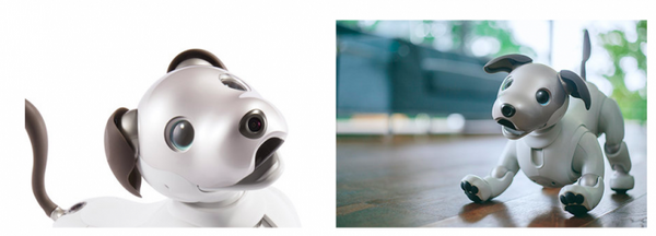 ソニーが本日発表した「進化したaibo（アイボ）」、その詳細が判明。SIMカードが標準搭載、22軸のアクチュエータ
