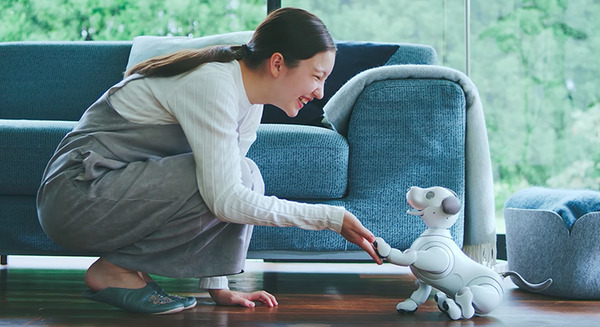 <p>シェア 0 ツイート 0 はてブ 0</p>