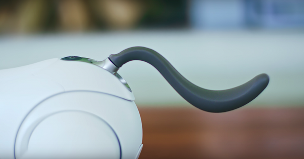 本日予約開始のソニーの新型「aibo」、可愛さあふれる公式動画が公開