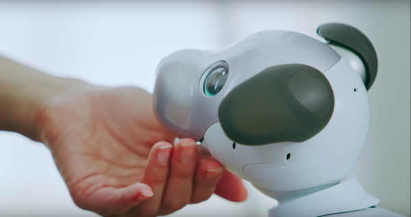 本日予約開始のソニーの新型「aibo」、可愛さあふれる公式動画が公開