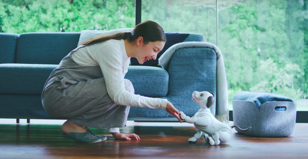 本日予約開始のソニーの新型「aibo」、可愛さあふれる公式動画が公開