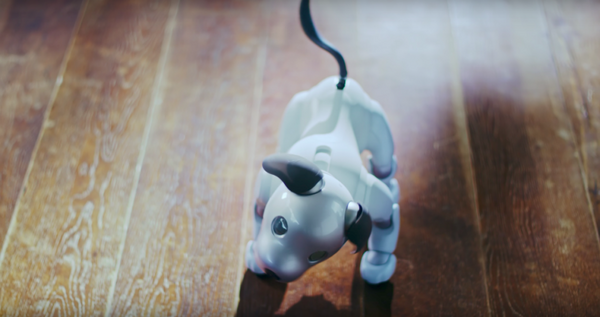 本日予約開始のソニーの新型「aibo」、可愛さあふれる公式動画が公開