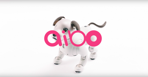 本日予約開始のソニーの新型「aibo」、可愛さあふれる公式動画が公開