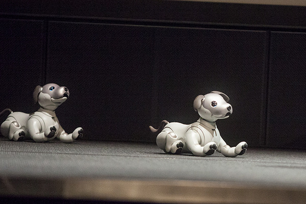 【フォトレポート】ソニーの新型「aibo（アイボ）」の写真をたっぷり見せます！