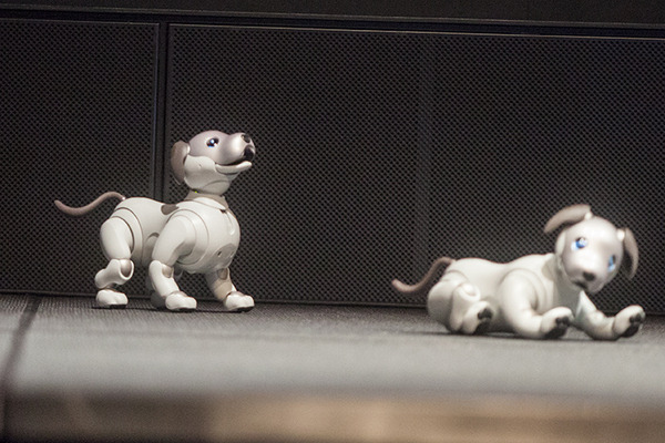 【フォトレポート】ソニーの新型「aibo（アイボ）」の写真をたっぷり見せます！
