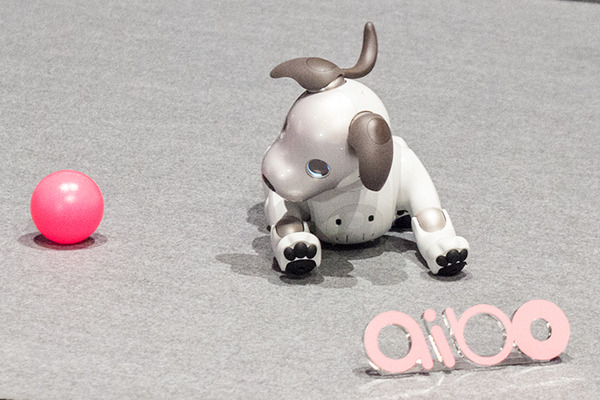 【フォトレポート】ソニーの新型「aibo（アイボ）」の写真をたっぷり見せます！