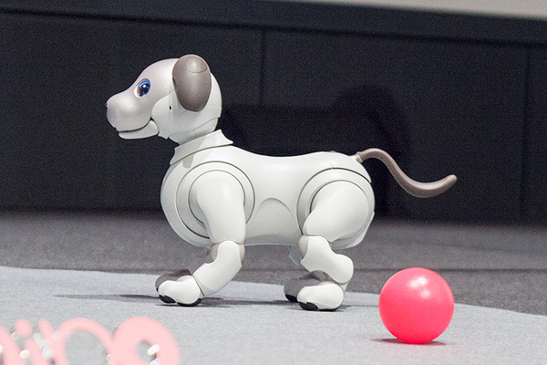 【フォトレポート】ソニーの新型「aibo（アイボ）」の写真をたっぷり見せます！
