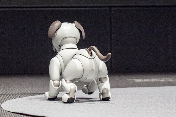 【フォトレポート】ソニーの新型「aibo（アイボ）」の写真をたっぷり見せます！