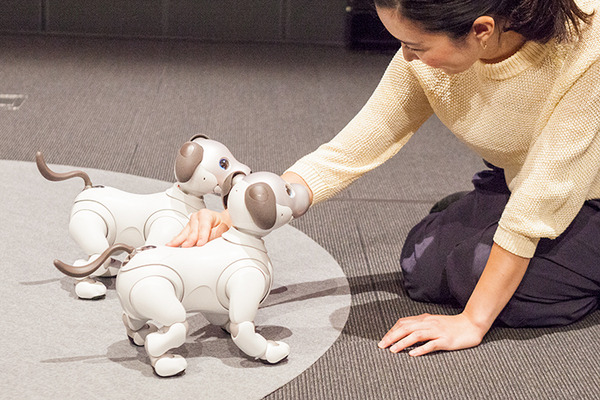 【フォトレポート】ソニーの新型「aibo（アイボ）」の写真をたっぷり見せます！