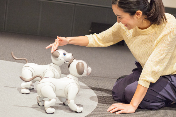 【フォトレポート】ソニーの新型「aibo（アイボ）」の写真をたっぷり見せます！