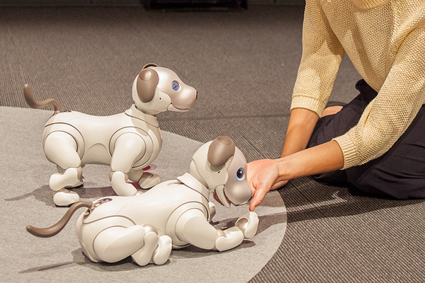 【フォトレポート】ソニーの新型「aibo（アイボ）」の写真をたっぷり見せます！