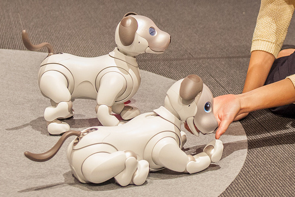 【フォトレポート】ソニーの新型「aibo（アイボ）」の写真をたっぷり見せます！