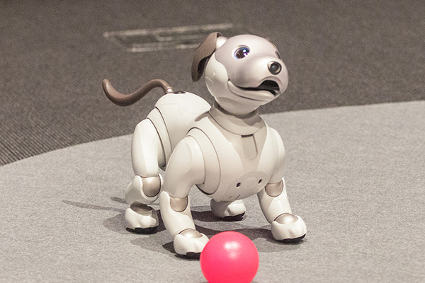 【フォトレポート】ソニーの新型「aibo（アイボ）」の写真をたっぷり見せます！
