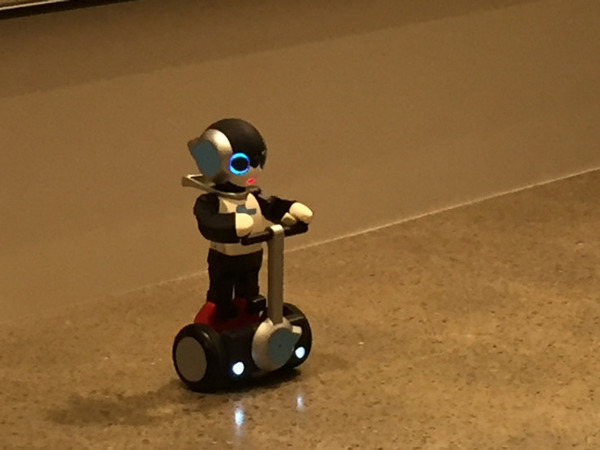 ロボットオーナー80人が大集合した「Communication Robot Owners MTG」に潜入！ #CROMTG