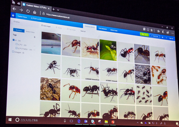 【ロボット×クラウドAI】Microsoft AzureとPepper最新導入事例「MicrosoftコグニティブサービスはAI機械学習をカスタマイズ可能」