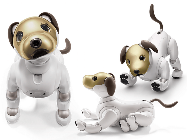 ソニーの金色「aibo」オークション終了、価格が4倍の150万円、総額1,000万円を超える