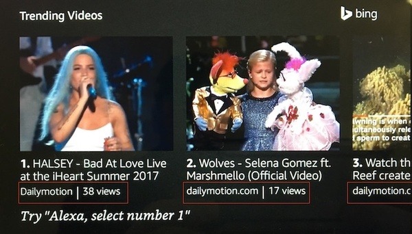 2018年1月1日よりAmazon Echo ShowでYouTube視聴不可に。代わりにDailymotion、Vimeoをリコメンド