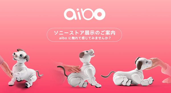 <p>シェア 0 ツイート 0 はてブ 0</p>