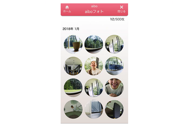 ソニー、新型aibo向けスマホアプリ「My aibo」を提供開始！