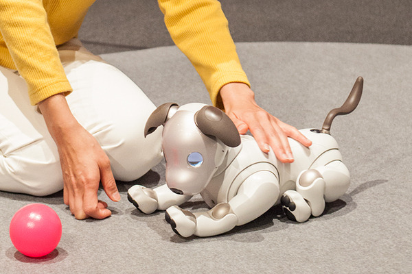 ソニーの「aibo（アイボ）」は明日1月11日発売！ aiboのスペックや価格、最新情報を改めてご紹介
