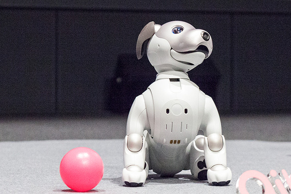 ソニーの「aibo（アイボ）」は明日1月11日発売！ aiboのスペックや価格、最新情報を改めてご紹介