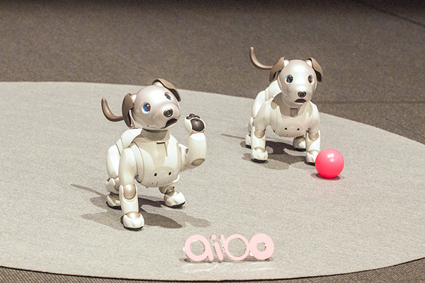 ソニーの「aibo（アイボ）」は明日1月11日発売！ aiboのスペックや価格、最新情報を改めてご紹介