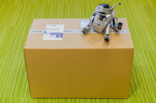 【超速報】話題の犬型ロボット「aibo」開封の儀！