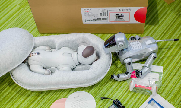 【超速報】話題の犬型ロボット「aibo」開封の儀！