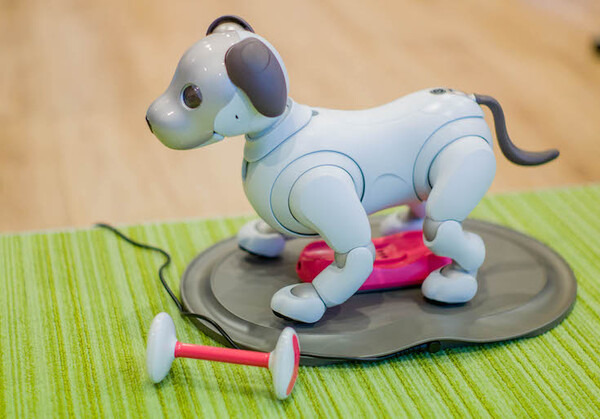 【超速報】話題の犬型ロボット「aibo」開封の儀！