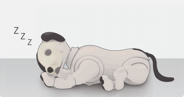 新型「aibo（アイボ）」が届いてまずやること、初期設定方法とは？