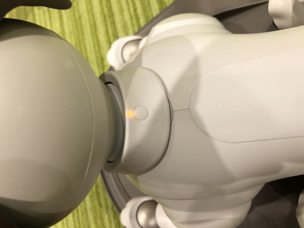 新型「aibo（アイボ）」が届いてまずやること、初期設定方法とは？