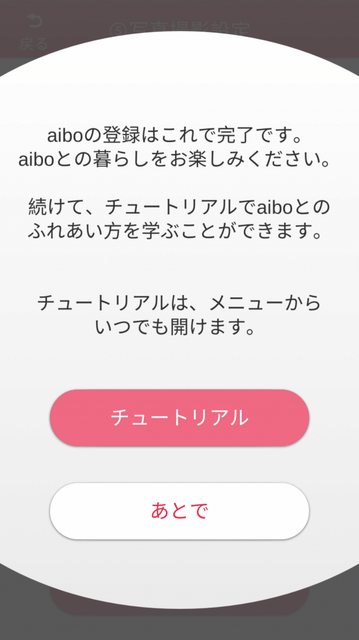 新型「aibo（アイボ）」が届いてまずやること、初期設定方法とは？