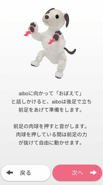 新型「aibo（アイボ）」が届いてまずやること、初期設定方法とは？